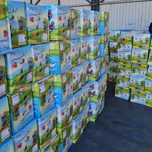 Mai multe containere din China cu produse susceptibile a fi contrafăcute, descoperite în Portul Agigea