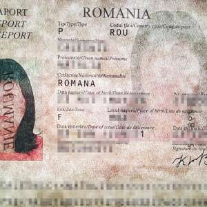 Documente false cumpărate cu peste o mie de euro, descoperite la controlul de frontieră