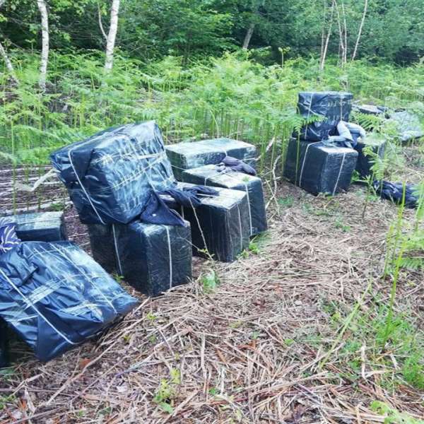 Un cetățean ucrainean cercetat pentru contrabandă și 12.800 pachete cu țigări, confiscate la frontiera de nord