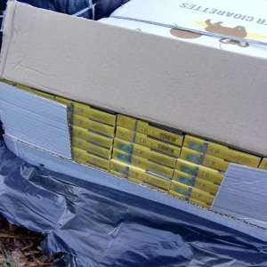 Un cetățean ucrainean cercetat pentru contrabandă și 12.800 pachete cu țigări, confiscate la frontiera de nord