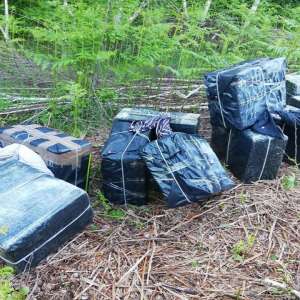 Un cetățean ucrainean cercetat pentru contrabandă și 12.800 pachete cu țigări, confiscate la frontiera de nord