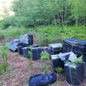 Un cetățean ucrainean cercetat pentru contrabandă și 12.800 pachete cu țigări, confiscate la frontiera de nord