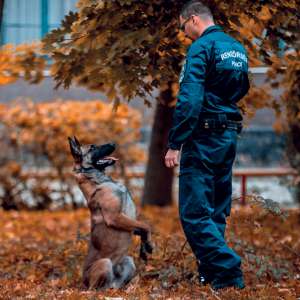 Interviu cu General maior de poliție dr. Halmosi Zsolt, consilier principal de poliție, adjunct al inspectorului general al Inspectoratului General al Poliției Ungare