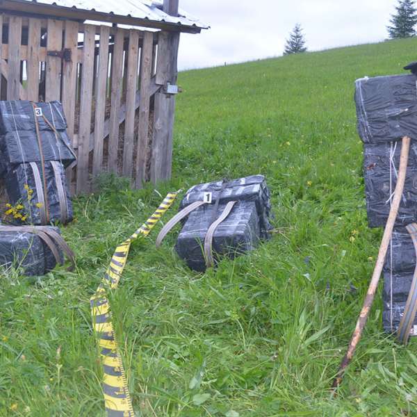 Aproximativ 16.000 de pachete cu țigări, confiscate la frontiera de nord