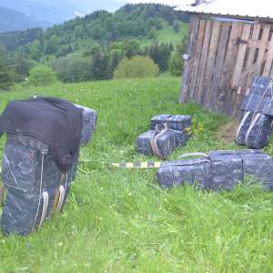 Aproximativ 16.000 de pachete cu țigări, confiscate la frontiera de nord