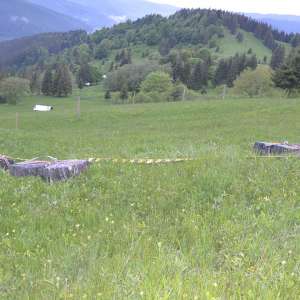 Aproximativ 16.000 de pachete cu țigări, confiscate la frontiera de nord