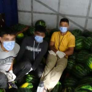 Trei tineri afgani, ascunși într-un autocamion încărcat cu pepeni, depistaţi la P.T.F. Bechet