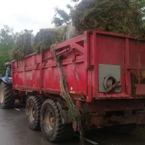 Brăilean fără permis de conducere depistat conducând