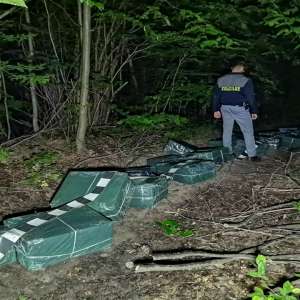 Focuri de armă și peste 16.000 pachete cu țigări confiscate la graniţa cu Ucraina