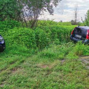 Țigări în valoare de peste 204.000 lei, confiscate la frontiera de nord