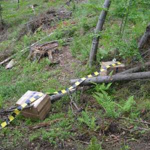 Aproximativ 10.000 pachete cu țigări confiscate la frontiera de nord