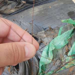 Containere cu 110 tone de deșeuri de cauciuc, descoperite în Portul Constanţa Sud Agigea