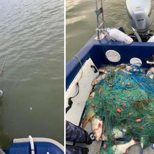 Braconaj piscicol în zona Rezervației Biosferei Delta Dunării