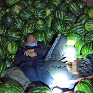 Cinci migranți depistaţi de polițiștii de frontieră din cadrul I.T.P.F. Giurgiu