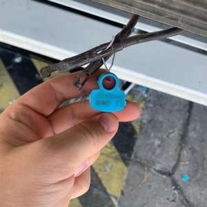 Zece migranți ascunși în TIR-uri, depistați în ultimele 24 de ore, la frontiera cu Ungaria