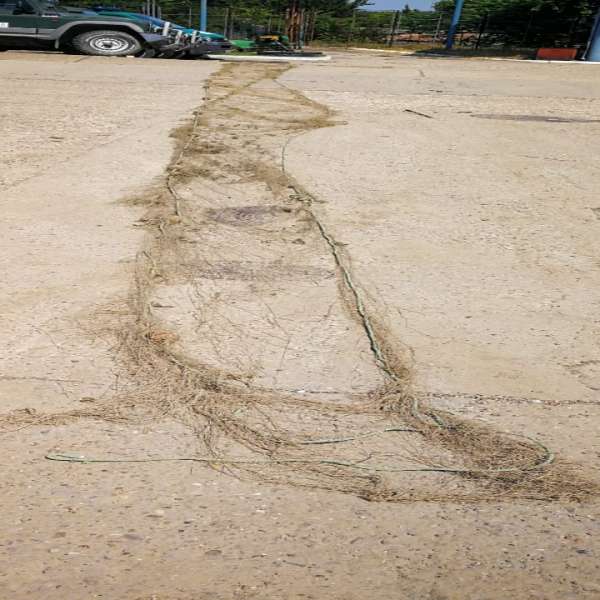 Plasă de pescuit ridicată în vederea confiscării
