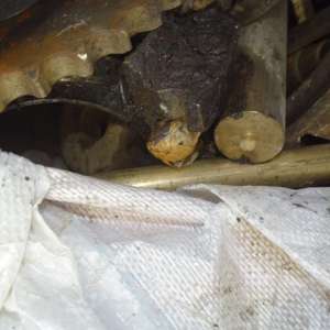 Transport ilegal de deșeuri oprit la P. T. F. Calafat