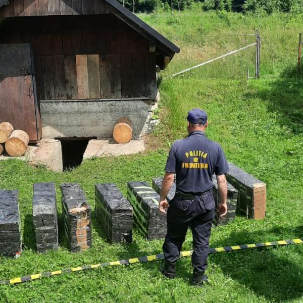 Aproximativ 10.000 pachete cu ţigări descoperite în pivniţa unui sucevean