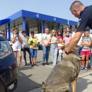 Un grup de 14 elevi de la Școala Gimnazială “Gh. Jienescu”, în vizită la Punctul de Trecere a Frontierei Calafat