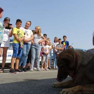 Un grup de 14 elevi de la Școala Gimnazială “Gh. Jienescu”, în vizită la Punctul de Trecere a Frontierei Calafat