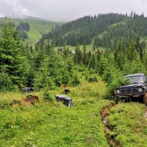 Ţigări de contrabandă descoperite în pădure, la frontiera de nord