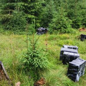 Ţigări de contrabandă descoperite în pădure, la frontiera de nord
