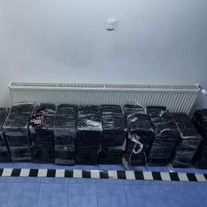 Ţigări de contrabandă descoperite în pădure, la frontiera de nord