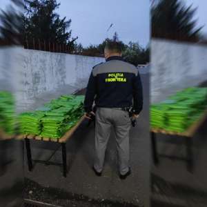 240 de kilograme de tutun aromatizat, descoperite la Stânca