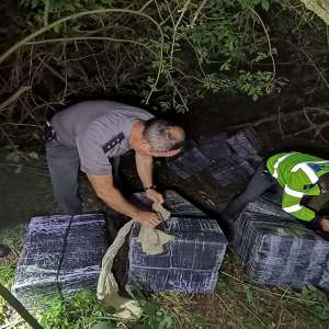 10.000 pachete cu țigări confiscate la graniţa cu Ucraina