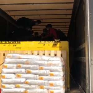 Opt cetăţeni străini au încercat să intre ilegal în ţară, ascunşi într-un automarfar