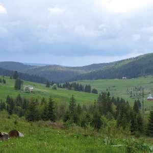 S.P.F. Izvoarele Sucevei, noutate și tradiție la frontiera de Nord