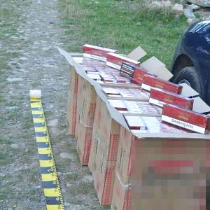 Ţigări ascunse după bancheta unui microbuz descoperite cu ajutorul câinelui poliţist CEY