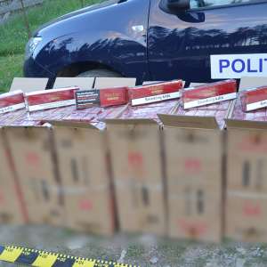 Ţigări ascunse după bancheta unui microbuz descoperite cu ajutorul câinelui poliţist CEY