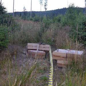 Ţigări ascunse după bancheta unui microbuz descoperite cu ajutorul câinelui poliţist CEY