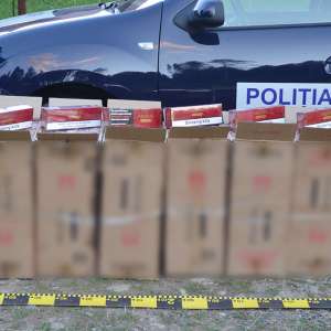 Ţigări ascunse după bancheta unui microbuz descoperite cu ajutorul câinelui poliţist CEY