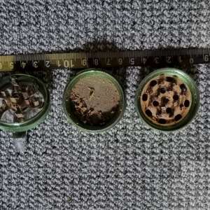 Cannabis și diferite sume în lei și valută confiscate la Sighetu Marmației în urma a șapte percheziții domiciliare