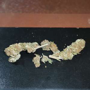 Cannabis și diferite sume în lei și valută confiscate la Sighetu Marmației în urma a șapte percheziții domiciliare