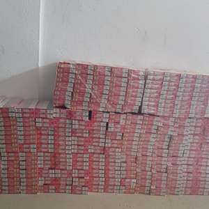 Ţigarete de contrabandă ascunse în vegetaţia de la malul Prutului