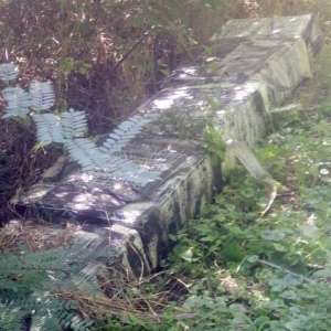 Ţigarete de contrabandă ascunse în vegetaţia de la malul Prutului