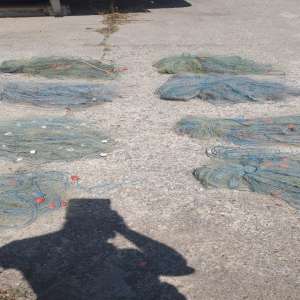 Braconaj piscicol în zona Rezervației Biosferei Delta Dunării