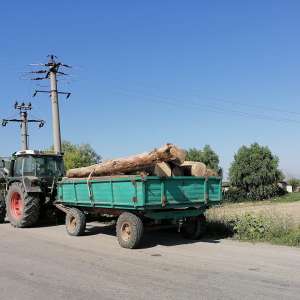 Ansamblu de vehicule condus fără drept, depistat în trafic