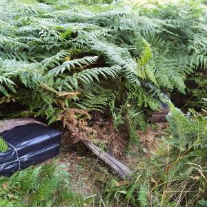 Focuri de armă pentru oprirea unor contrabandişti