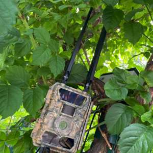 250 new special surveillance cameras installed on the Romanian border