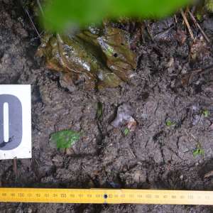 Cetățean din Eritreea oprit la frontiera de nord a țării