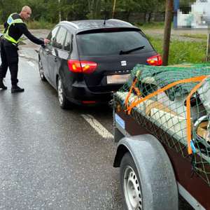 Ansamblu de vehicule condus fără drept, depistat în trafic