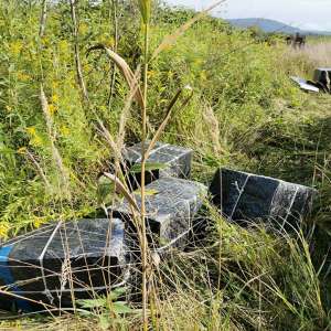 Acţiuni “în forţa” la graniţa cu Ucraina pentru combaterea contrabandei de ţigări. Aproximativ 37.000 de pachete cu țigări de contrabandă confiscate, în 24 de ore