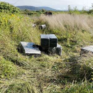 Acţiuni “în forţa” la graniţa cu Ucraina pentru combaterea contrabandei de ţigări. Aproximativ 37.000 de pachete cu țigări de contrabandă confiscate, în 24 de ore