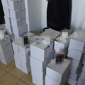 Dolj/Cetățean turc cercetat pentru dare de mită, după ce a oferit 700 de euro unui ofițer de poliţie de frontieră