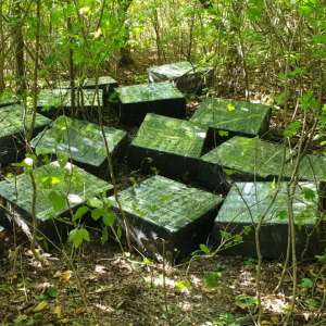 Focuri de armă pentru oprirea contrabandiştilor de ţigări, la frontiera cu Ucraina