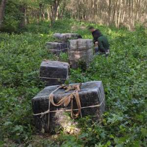 Focuri de arma şi trei contrabandişti reţinuţi, la frontiera cu Ucraina
